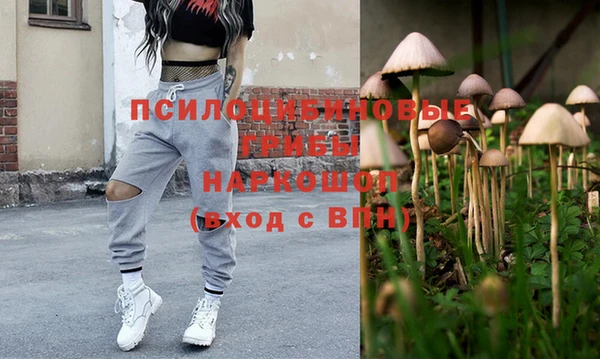 крисы Аркадак